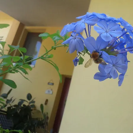 Bed & Breakfast Ai Campazzi Castagnole